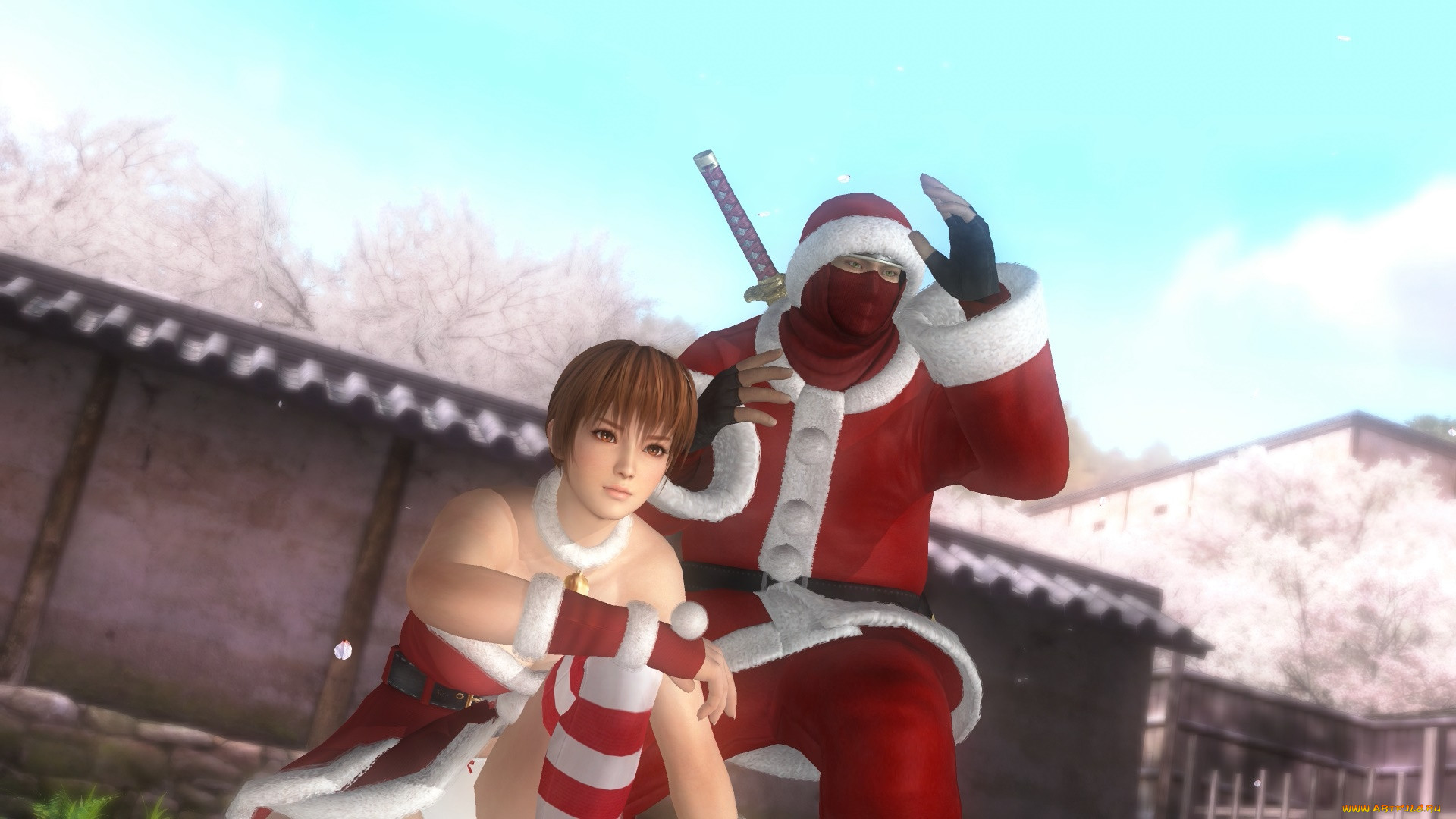  , dead or alive 5, 